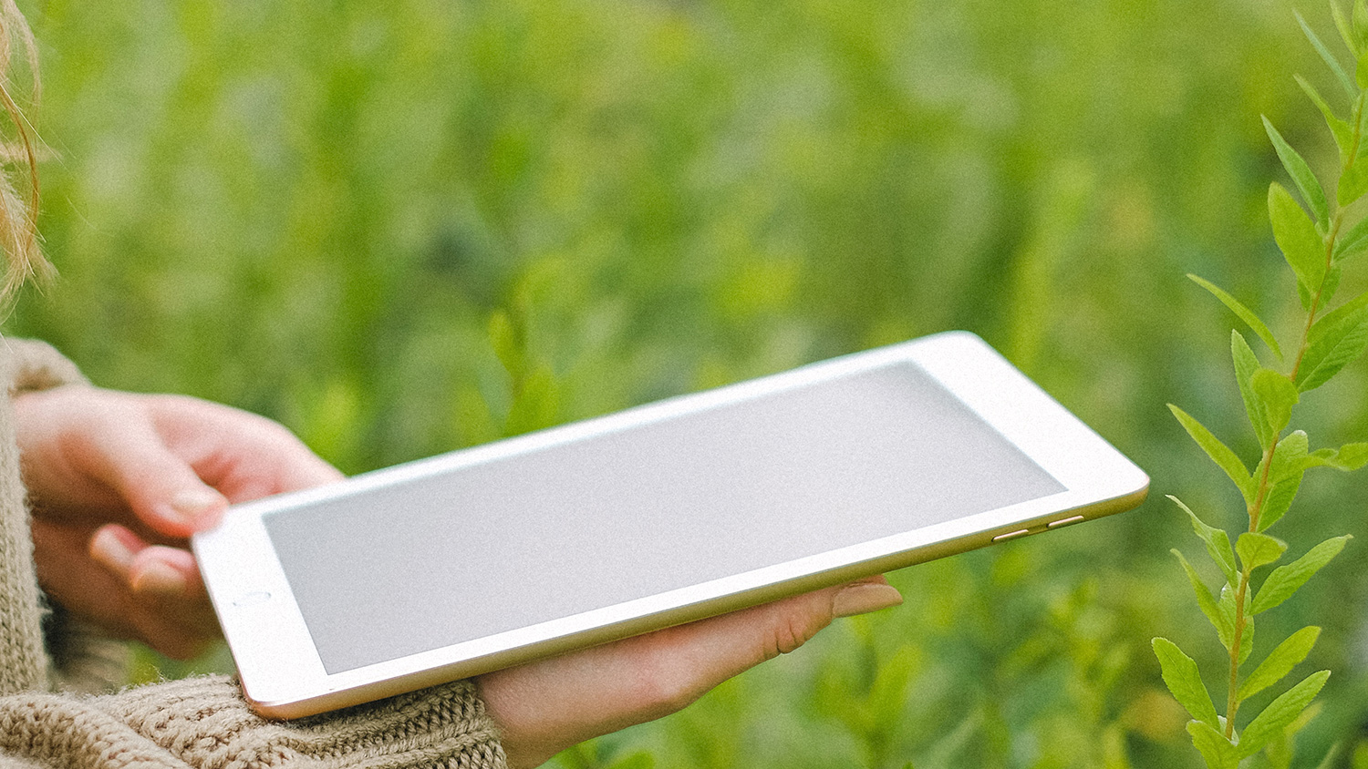 person holding an electronic tablet in a field